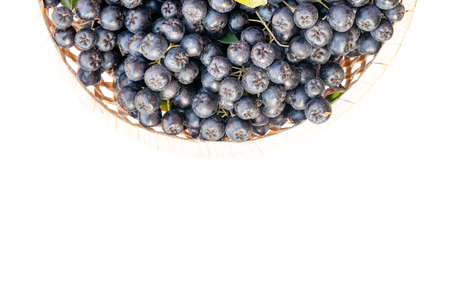 Fresh chokeberry or Aronia melanocarpa in basket, isolated on white background. Top view. Design element.の写真素材