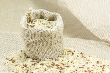 Rice in burlap sack on Sackの写真素材