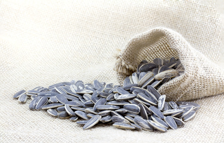 organic sunflower seed on burlap sackの写真素材