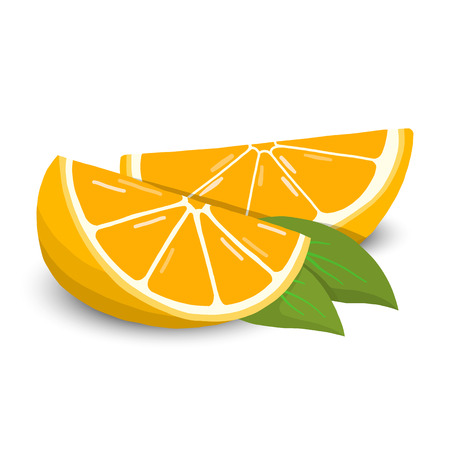 Orange vector illustration. Cute orange fruitのイラスト素材