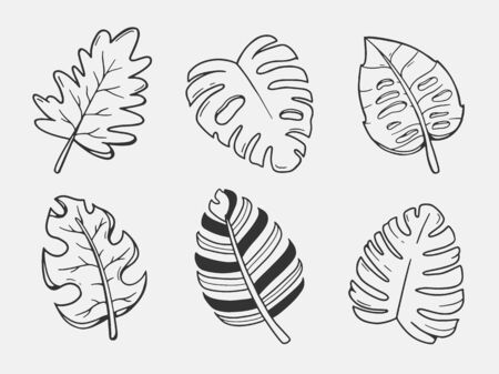 leaves illustration. set of vector leaves. hand drawn art. leaf skeleton.のイラスト素材