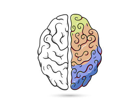 Brain function Vector illustration. Drawing Doodle design conceptのイラスト素材