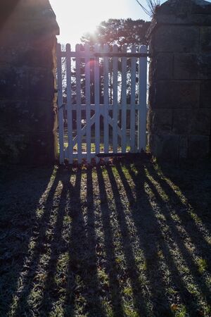 Rays of sunshine entering through a gate late winters day in England, portrait aspectの写真素材