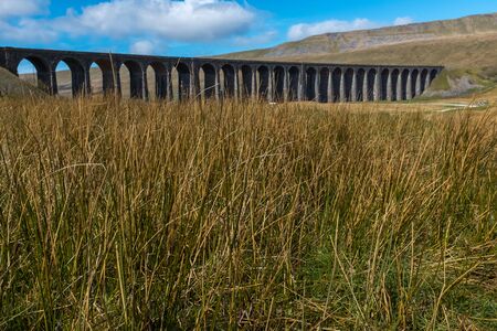 A distant shot through the meadow grass of the sweeping majestic Ribblehead Viaduct stands tall above the Ribble Valley, Yorkshire, England carrying the Settle to Carlisle railway against a blue skyの写真素材