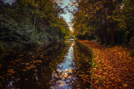 The Chesterfield canal towpath covered in autumnal leaves on a bright sunny day.の写真素材