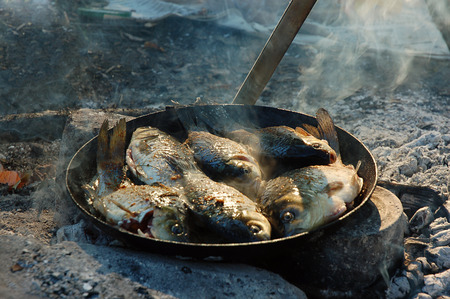 Pan Fried fresh fish cooked over a campfire in a campaignの写真素材