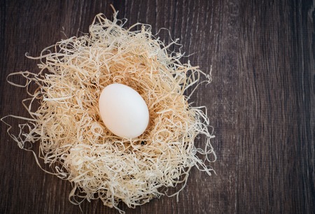 Egg in nest on dark wooden background. Copy space for text