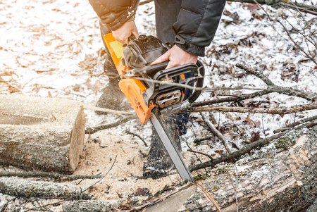 Manual chainsaw. Man hands, saws a tree in the woods in winter at sunsetの写真素材