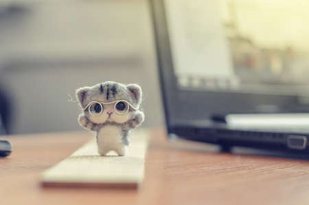 Felting toy little gray kitten in glasses on wooden standの写真素材