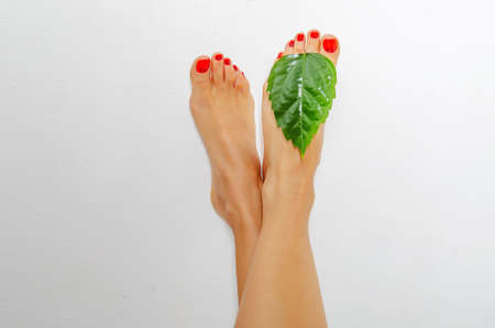 Beautiful, smooth female legs and feet. Skin care, spa salon. Isolated on white backgroundの写真素材