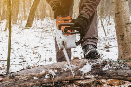 Man hands holding an electric chainsaw, saws a tree in the forest. Deforestation. Modern...