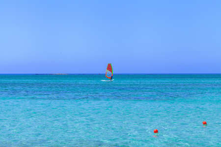 Surfer on board with sail floats on blue water of sea near shore.