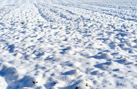 Snowy plowed field on sunny winter day.
