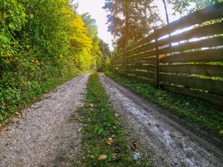 country road near forest. wooden fence. countryside.