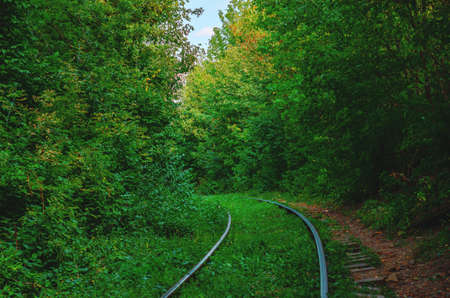 Abandoned railway track in woods. Green landscape with railway.の写真素材