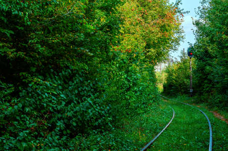 Abandoned railway track in woods. Green landscape with railway. Working traffic light with red light.の写真素材