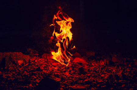 Red flame of burning fire rising from stone covered with autumn leaves.の写真素材
