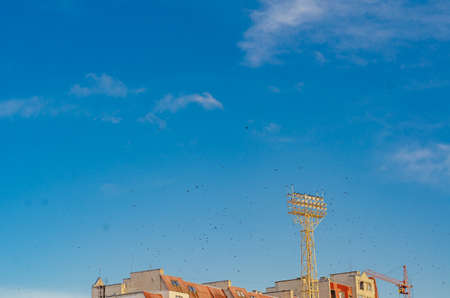 Blue sky in city above building. Crane. Group of birds sitting in spotlight. Birds in air.の写真素材