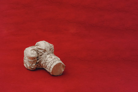 Camera with a large lens is wrapped in kraft paper, tied with cord. On red background. gift for photographerの写真素材