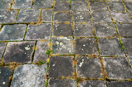 Background of old paving slabs with sprouted grass between it.の写真素材