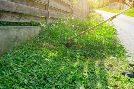 Cordless garden trimmer mows the grass near fenceの写真素材