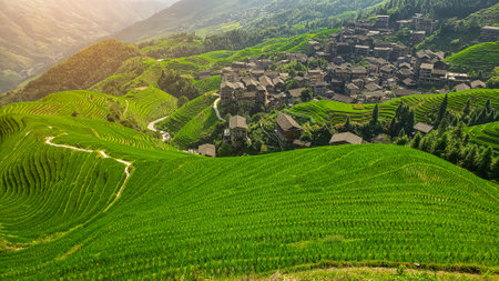 Top view of village in mountains. Terraced fields. winding road. China. picturesque landscape. panorama.の写真素材