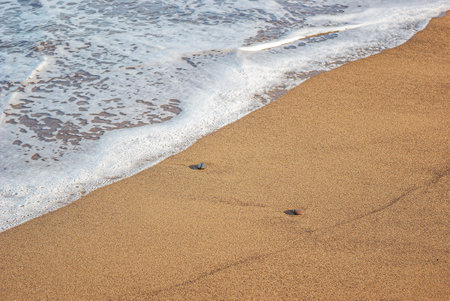 White sea foam, sandy shore, pebbles on sandy beach. Calm inspiring sea view.の写真素材