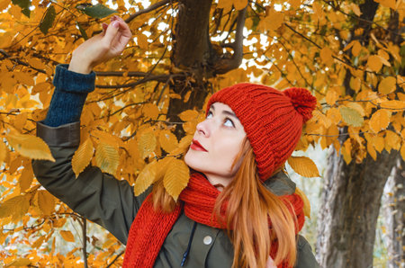 Cute young woman plucks leaves from a tree in the park. Atmospheric bright autumn photo.
