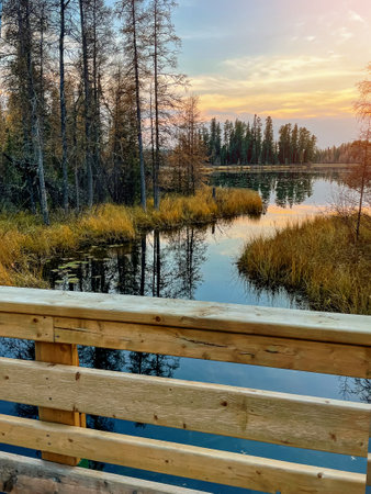 wooden bridge on forest lake, view of the lakeの写真素材