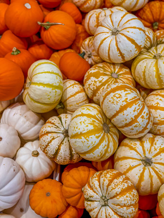 Yellow pumpkins, small size. Halloween background.の写真素材