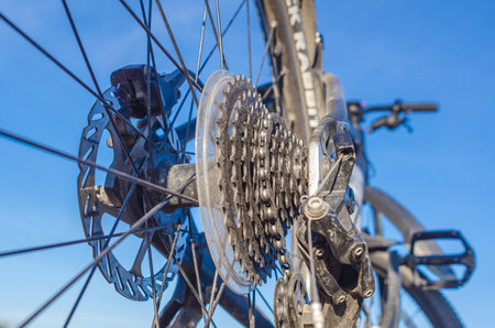Gear stars on rear wheel of the bike, close-up against nature