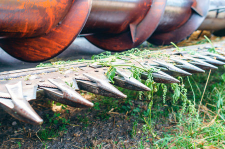 Sharp metal spikes on wheat harvester