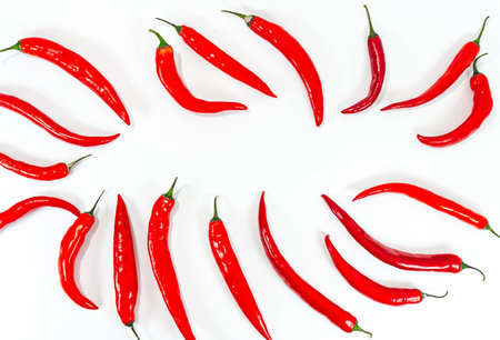 Hot chili pepper circle long shape on white background. Many pods in pattern.の写真素材