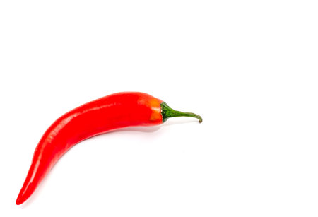 One chili pepper isolated over white background. Fresh hot pepper in middle of photo. Diagonallyの写真素材