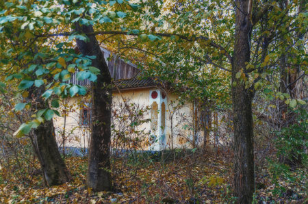 An abandoned old village house overgrown with bushes and trees and an autumn forest. Abandoned village in Ukraineの写真素材