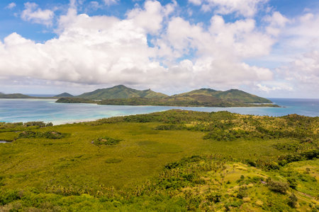 Tropical Fiji island with palm trees and clear blue-green water with white sand. Cloudy seascapeの写真素材