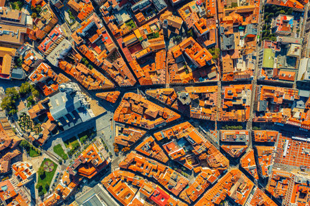 Top view of the ancient houses of the old town of Valladolid and Spain. Red roofs of the ancient...