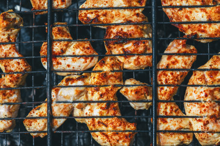 Pieces of meat on a metal grill, barbecue, barbecue, picnic. Meat on fire, tourism