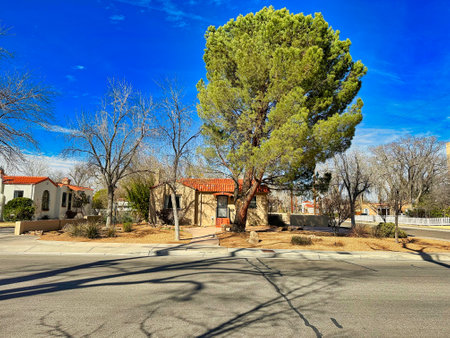 ALBUQUERQUE, NEW MEXICO, USA-March 7, 2023. Street with nice open views of private buildings, and spring trees and bushesのeditorial素材