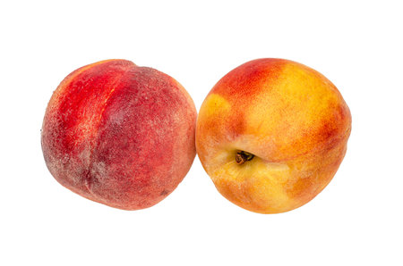 Two wet ripe peaches with visible water drops isolated on white background. Vitamins, diet, healthの写真素材