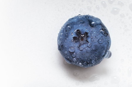 One purple blueberry berry. Isolated on white background. With drops of water. Close up. Top viewの写真素材