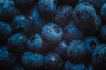Incredible sight of purple blueberries shimmering in drops of water. Wet drop blueberry backgroundの写真素材