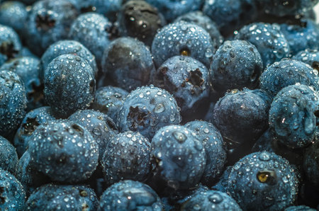 Macro fresh blueberry background. Crystal drops of water on purple blueberry. Selective focus, blurの写真素材