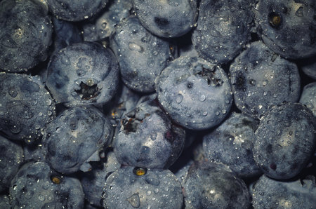 Water drops on ripe purple blueberry. Fresh blueberries background. Macro photo. Vegetarian conceptの写真素材
