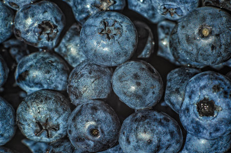 Close-up image of a ripe blueberry covered with water drops. Background of fresh blue blueberriesの写真素材