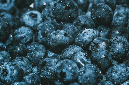 Macro fresh blueberry background. Crystal drops of water on purple blueberry. Selective focus, blurの写真素材