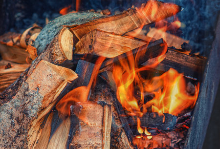 Firewood is burning in the barbecue. Lighting a fire for cooking barbecueの写真素材