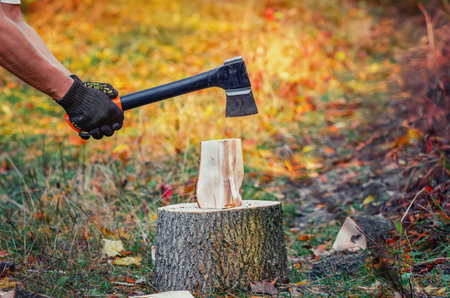 Ax in hands of man. Chopping firewood for heating. Piece of wood on stump. Blurred forest backdrop