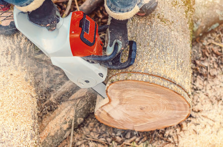 Electric Chainsaw in Action as Man Cuts Fallen Tree
