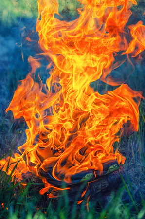 Fiery orange sneakers on grass, blazing running shoes in flames for dynamic sports conceptの写真素材